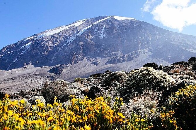 7 Days Kilimanjaro Trekking Machame Route - Day 4: Barranco Wall Scramble to Karanga Camp