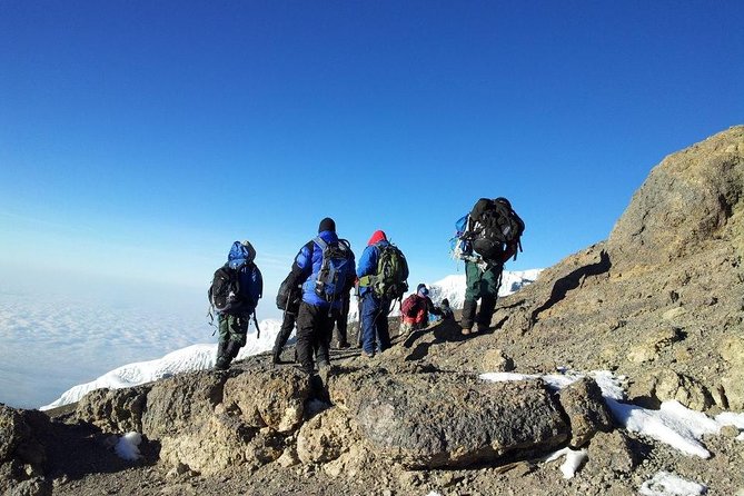 7 Days Kilimanjaro Trekking Machame Route with Professional Guide - Machame’s Whiskey Route: why this plan fits real bodies