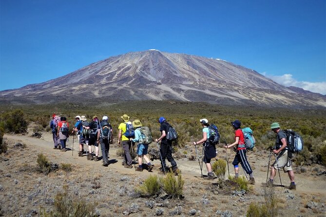 7 Days Kilimanjaro Trekking Machame Route with Professional Guide - Day 3: Shira Plateau views and the giant heather moorland
