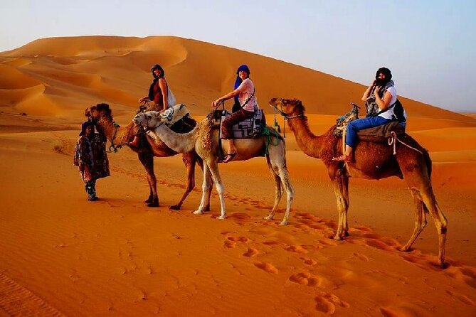 7 Days Luxury Desert Tour From Casablanca to Marrakech via fez -Camel trekking - Days 3–4 to Merzouga and Erg Chebbi: camel trekking with sunrise and sunset