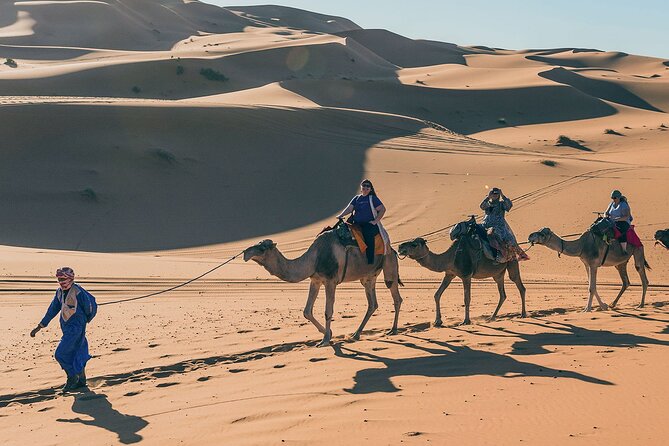 7 Days Luxury Desert Tour From Casablanca to Marrakech via fez -Camel trekking - Marrakech on day 6: palaces, gardens, and Jamaa el Fna after dark