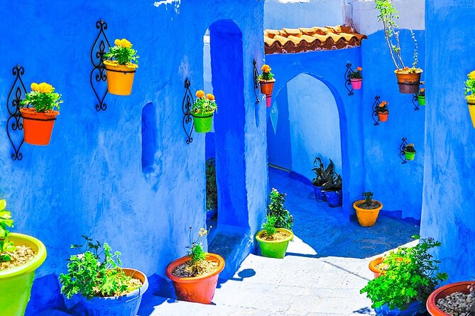 7 Days Luxury Desert Tour From Casablanca to Marrakech via fez -Camel trekking - Day 7 departure: airport transfer, plus Hassan II Mosque as a backup