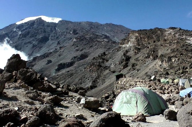 7 Days Machame Route Kilimanjaro Trekking - Day 2: Shira Plateau and the cold shock of 3840m
