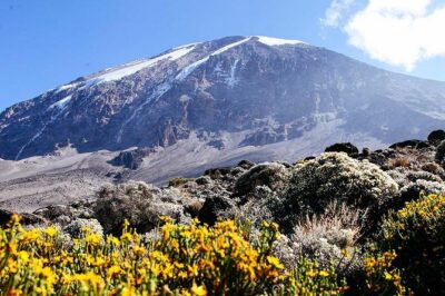 7 Days Machame Route Trek Mount Kilimanjaro - Rupia Adventure crew and the guides you’ll rely on