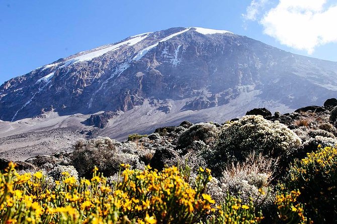 7 Days Machame Route Trek Mount Kilimanjaro - Rupia Adventure crew and the guides you’ll rely on