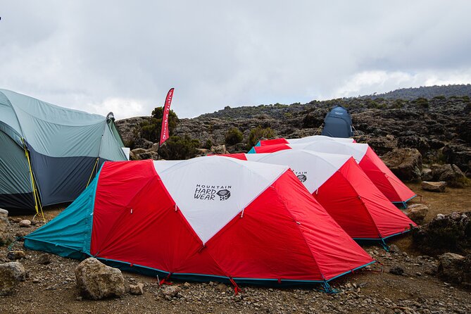 8 Day Kilimanjaro Trek via Lemosho Route - Key highlights to notice before you go