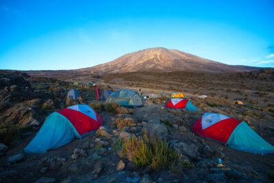 8 Day Kilimanjaro Trek via Lemosho Route - What you’re really buying: guides, porters, food, and safety systems