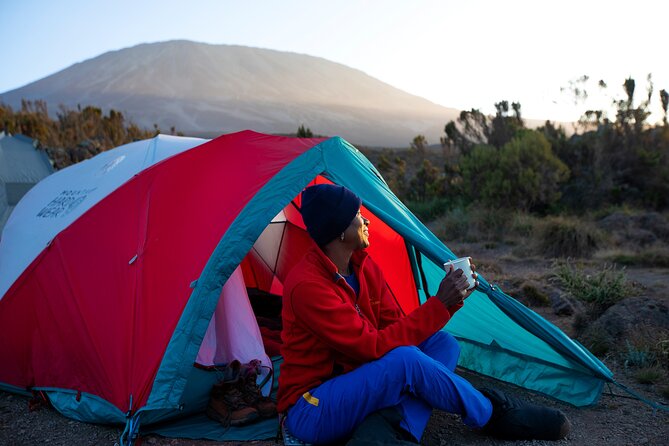 8 Day Kilimanjaro Trek via Lemosho Route - Who this trek suits best (and who should think twice)