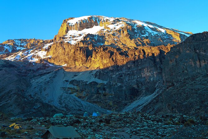 8 Day Kilimanjaro Trek via Lemosho Route - Final call: should you book this 8 Day Kilimanjaro Trek via Lemosho?