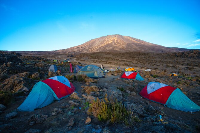8 Day Kilimanjaro Trek via Lemosho Route - What you’re really buying: guides, porters, food, and safety systems