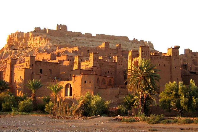 8-Day Morocco Adventure: Imperial Cities & Sahara Desert Trek - Atlas roads to Merzouga: cedar forests, Ifrane, and the approach to dunes