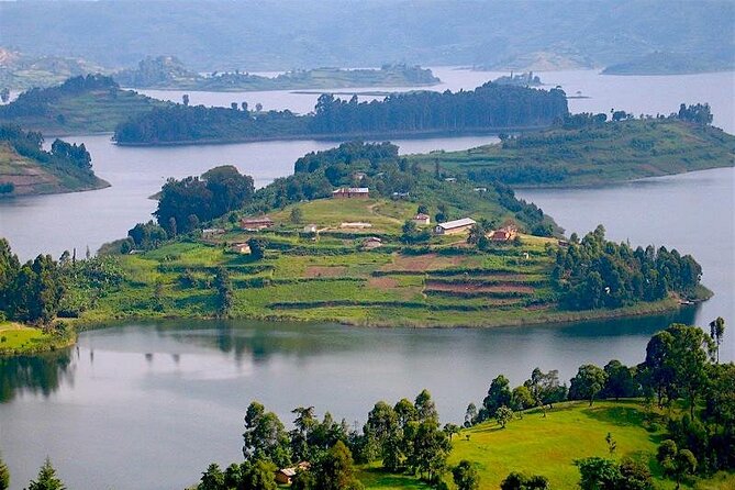 8-Day Murchison Falls, Chimp and Epic Gorilla Trekking - Day 5: Queen Elizabeth Evening Game Drive with Huge Hippo and Buffalo Numbers