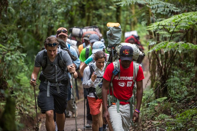 8-Day Small-group Lemosho Kilimanjaro Summit Trekking - Kosovo Camp and Summit Prep: The “Get Ready” Day