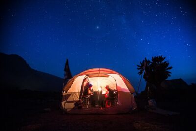 8-Day Small-group Lemosho Kilimanjaro Summit Trekking - Days 2–3: From Forest to Shira Ridge Views to Moir Camp