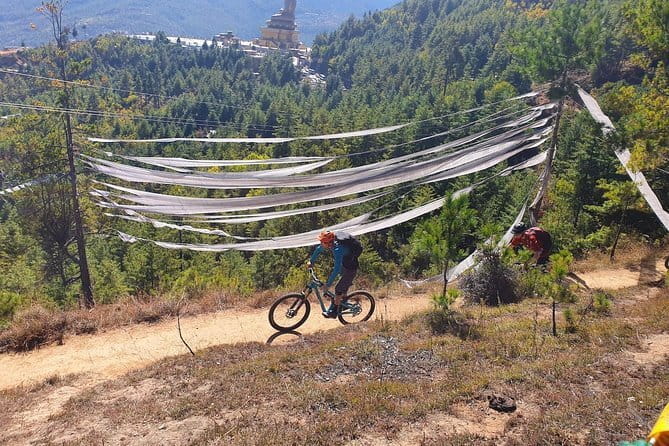 8 Days Bhutan Cultural Tour with 2-Day Bumdrak Trek - Dochula Pass to Punakha Dzong: a valley day with real architectural drama