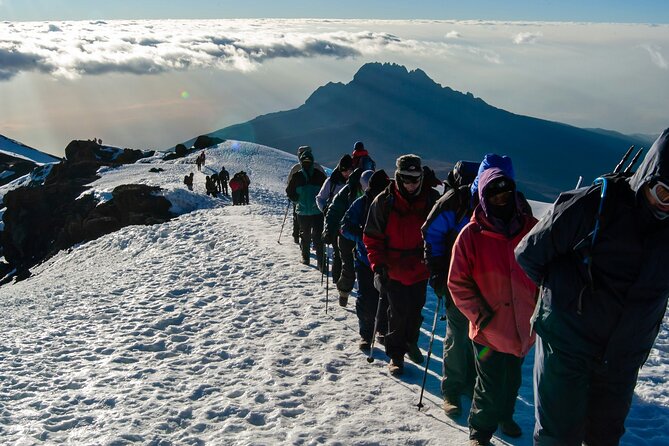 8 Days Guided Private Trekking in Mount Kilimanjaro - From Moshi to Londorossi Gate: where the trek really begins