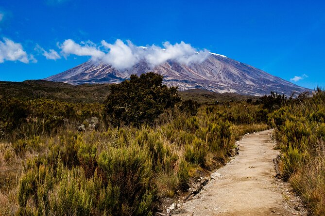 8 Days Guided Private Trekking in Mount Kilimanjaro - Day 4: Lava Tower at 4,600 meters and the Barranco Wall challenge