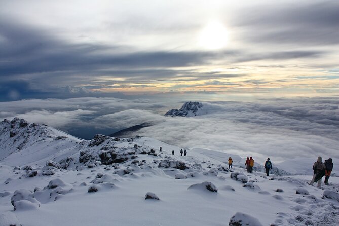 8 Days Guided Private Trekking in Mount Kilimanjaro - Private guidance, small-group pacing, and who this trek suits best
