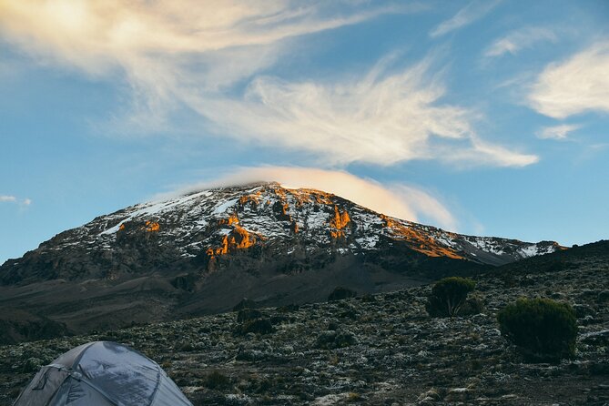 8 Days Guided Private Trekking in Mount Kilimanjaro - Days 1 to 3: rainforest to Shira 1 and Shira 2 without rushing altitude