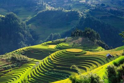 8-Days Hanoi, Sapa Trekking And Halong Bay Cruise - Day 1 in Hanoi: Private Pickup and Old Quarter Freedom