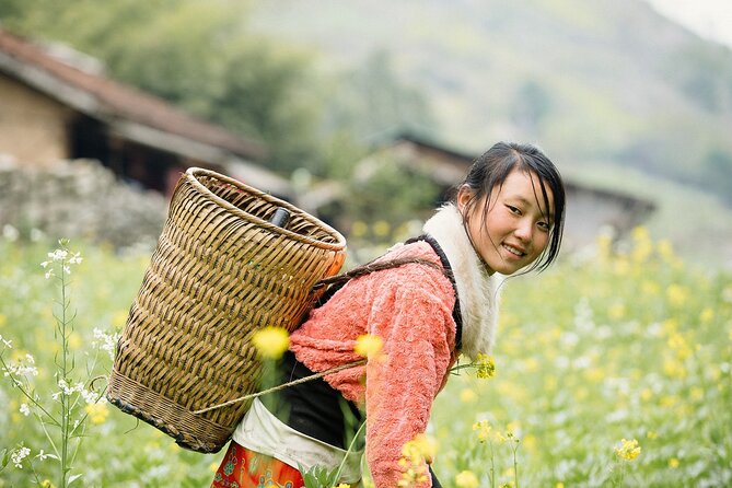 8-Days Hanoi, Sapa Trekking And Halong Bay Cruise - Price and Logistics Check: Is $854 Worth It?