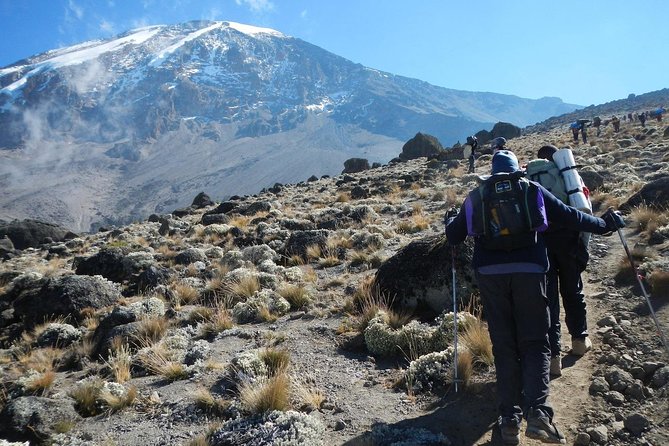 8 Days Lemosho Route Kilimanjaro Trekking - Key things you’ll like right away
