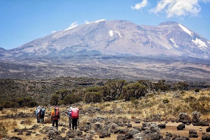8 Days Lemosho Route Kilimanjaro Trekking - Arusha Pickup and the Local Team Dynamic (Erastus, Oliver, John)