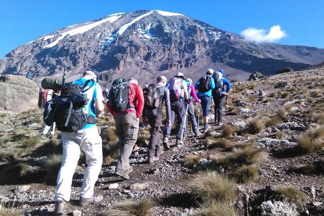 8 Days Lemosho Route Kilimanjaro Trekking - Day 1: Forest Quiet to Your First Camp at Londorossi