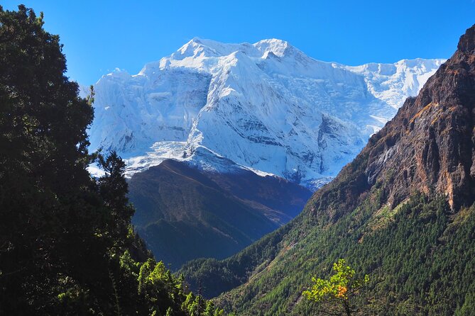 8 Days Private Guided Trekking in Annapurna Circuit with Pickup - Where the Route Feels Special (and Where It Can Drag)