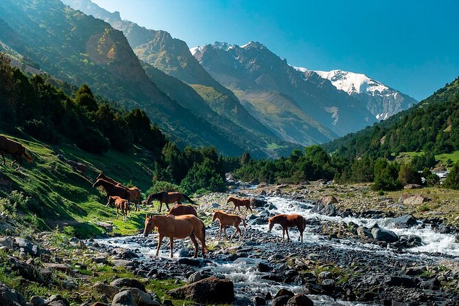 8 Days Private Tour at Lenin Peak Base Camp Trek - Day 6: Traveler’s Pass to Camp One at 4,400m