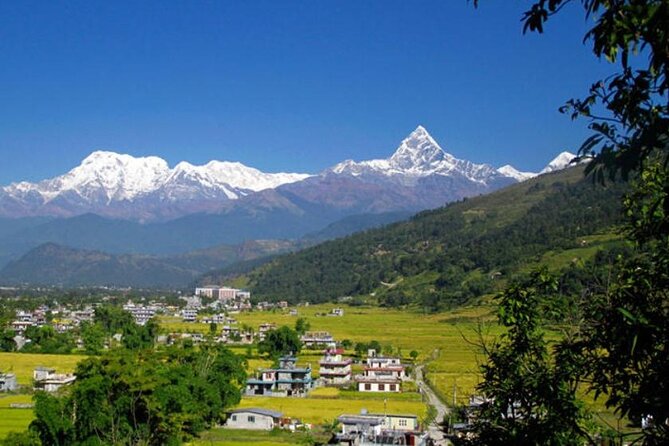 8 Days Short Trek and Tour in Nepal - Dhampus and Australian Camp: the soft trek that still feels real
