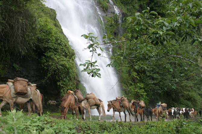 9 Days Druk-path Trek with Cultural sightseeing - Paro Valley Welcome: Dzongs, Lhakhangs, and a first look at Bhutan