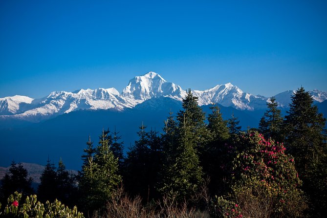 9 Days short and Easy Ghorepani Poonhill Trekking in Nepal - Route walkthrough: Kathmandu to Pokhara to the trekking start
