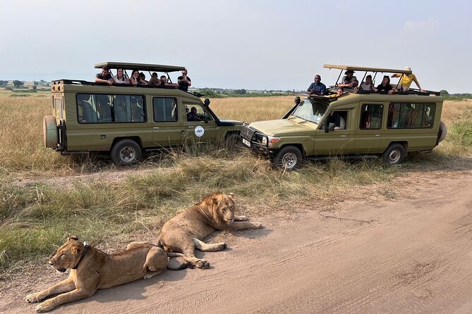 9 Days Uganda Wildlife Safaris, Gorilla Trekking & Hiking - Entebbe Airport to Hotel No.5: the calm start