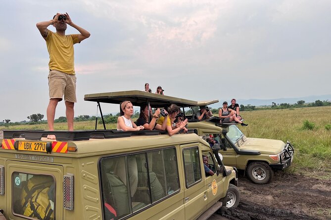 9 Days Uganda Wildlife Safaris, Gorilla Trekking & Hiking - Kibale Forest chimp tracking: one hour with your closest relatives