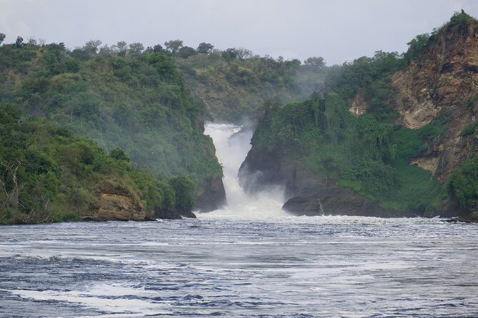 9 Days Uganda Wildlife Safaris, Gorilla Trekking & Hiking - Bwindi gorilla trekking: briefing first, then one hour with your family