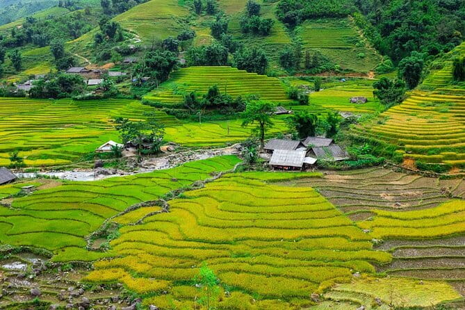 A day Trek to Rice Field in LaoChai-Tavan village-MuongHoa valley - Key things to know before you go