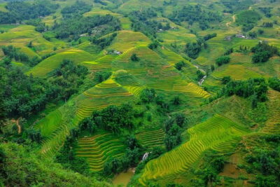 A day Trek to Rice Field in LaoChai-Tavan village-MuongHoa valley - Down to Y Linh Ho: rice terraces, panoramas, and a Hmong village stop