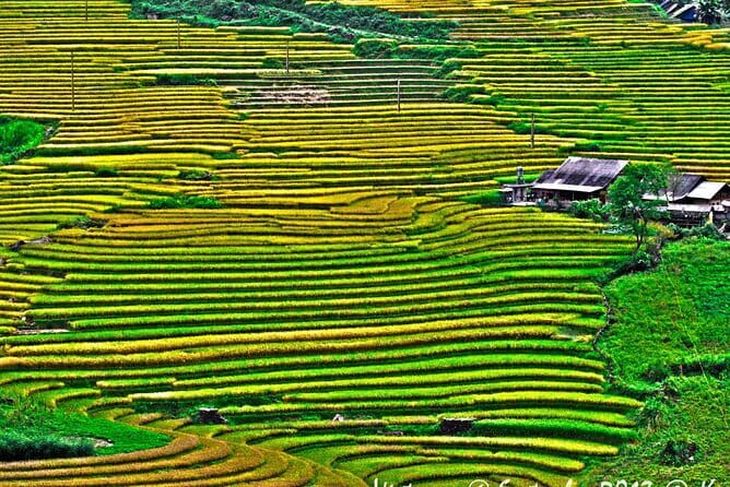 A day Trek to Rice Field in LaoChai-Tavan village-MuongHoa valley - Transport back to Sapa: why it changes your day