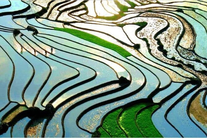 A day Trek to Rice Field in LaoChai-Tavan village-MuongHoa valley - Who this trek suits best (and who might want an easier alternative)
