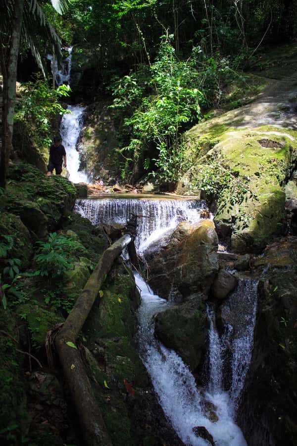 A Jungle-to-Sea Kayaking & Trekking Adventure in Phuket - Key moments you’ll remember