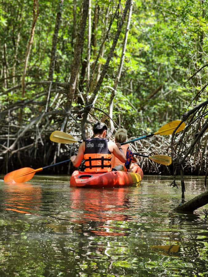 A Jungle-to-Sea Kayaking & Trekking Adventure in Phuket - Why Jungle-to-Sea Beats Another Beach Day in Phuket