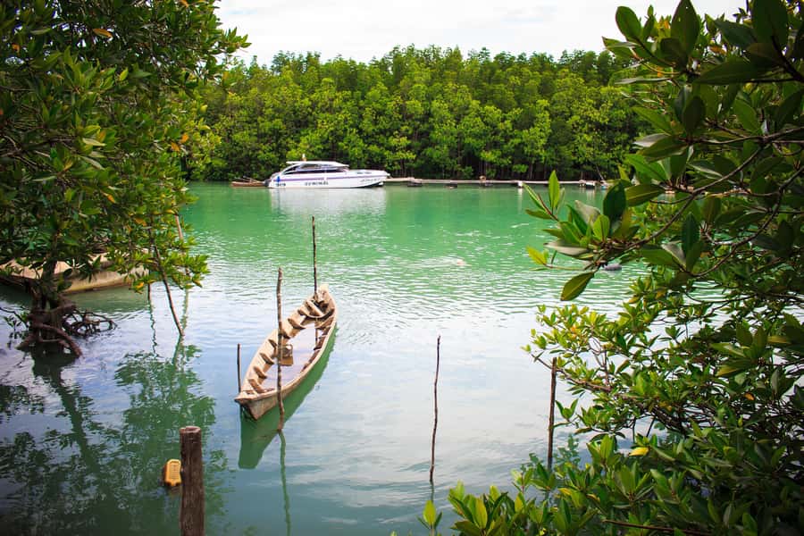 A Jungle-to-Sea Kayaking & Trekking Adventure in Phuket - Who This Tour Fits Best and Who Should Rethink It