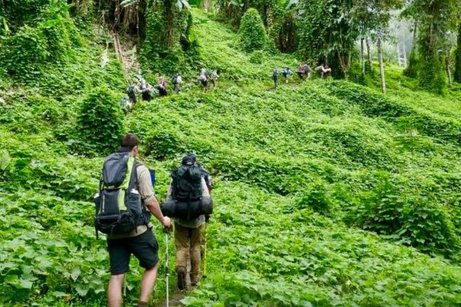 ADVENTURE KOKODA 10-Day Premium Kokoda Campaign Trek Australian Led - Ladavi Saddle, Nauro Lookout, and Menari Gap: where the trail pinches