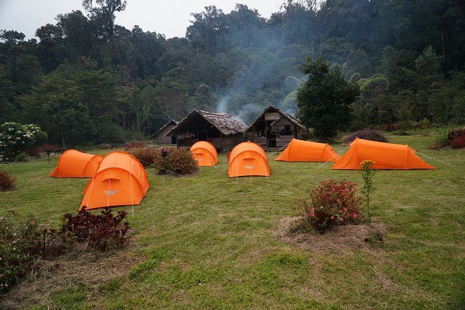ADVENTURE KOKODA 10-Day Premium Kokoda Campaign Trek Australian Led - Day 2 start on the trail: from Sogeri to the early campaign corners