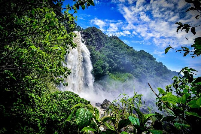 Aerial Hammocks, Zip and Waterfall Trek on Medellin Private Tour - Salto del Buey Hike: The Waterfall Base Trek and Lunch at 13:00