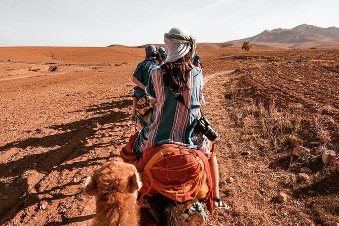 Agafay Desert-And Atlas Mountains & Camel-Trek-Day Trip From Marrakech - Key things that make this day trip work