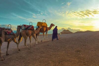 Agafay Desert-And Atlas Mountains & Camel-Trek-Day Trip From Marrakech - Takerkoust Dam and the road to Imlil: more than a scenic drive