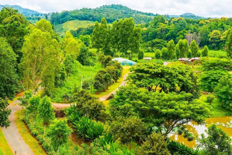 Akha & Lahu village trekking 1 day - Meeting your guide on the trail: Acha and the talk you actually remember