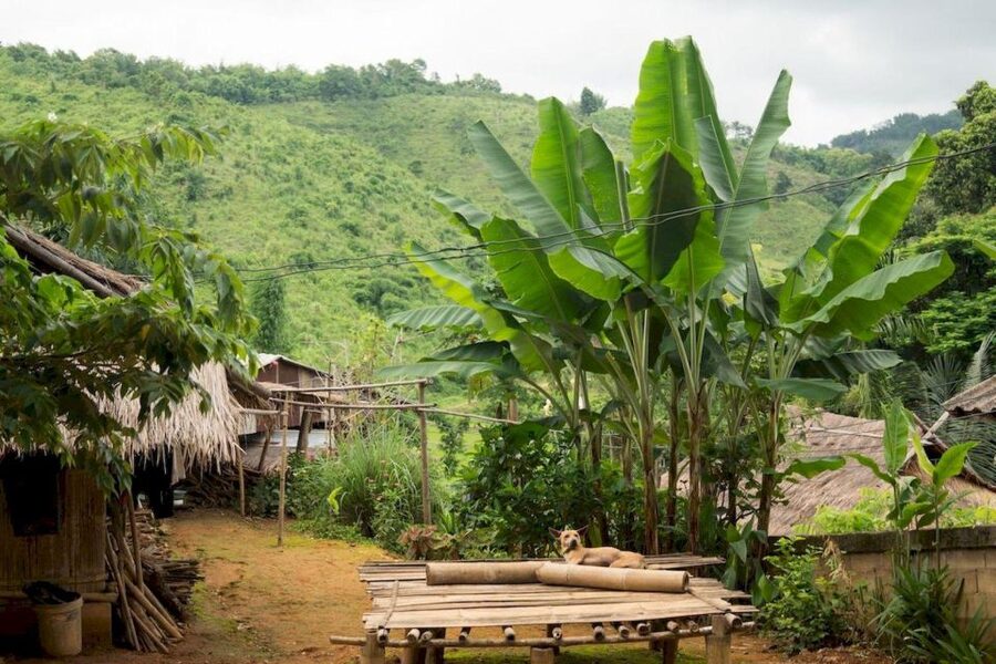 Akha & Lahu village trekking 1 day - Temple entrance: a possible extra cost to plan for